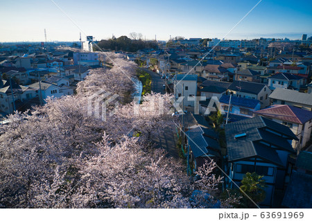 新河岸川沿いの美しい満開の桜 埼玉県川越市(ドローンによる空撮 新河岸川沿いの美しい満開の桜 埼玉県川越市(ドローンによる空撮 63691969