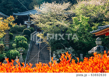 Shikoku pilgrimage Kan'onji temple and Jinnein temple in Kagawa, Japan Shikoku pilgrimage Kan'onji temple and Jinnein temple in Kagawa, Japan 63692630