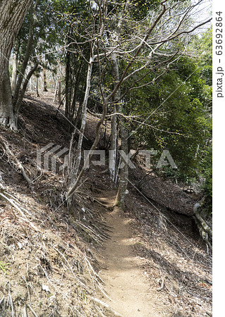 ミツバ岳　丹沢西部　登山道 63692864