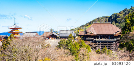 早春の京都 清水寺 全景ワイド 早春の京都 清水寺 全景ワイド 63693420