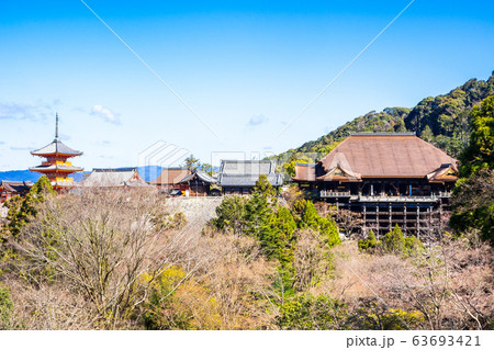 早春の京都　清水寺　全景 63693421