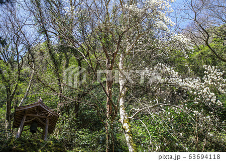 立久恵峡・霊光寺 63694118