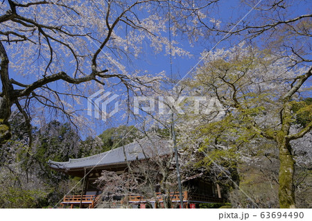 醍醐寺 京都伏見 醍醐寺 京都伏見 63694490