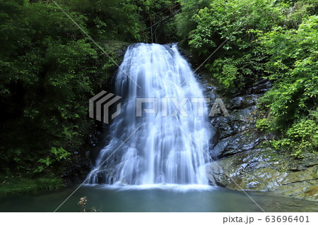 養老渓谷　 小沢又の滝（まぼろしの滝） 63696401