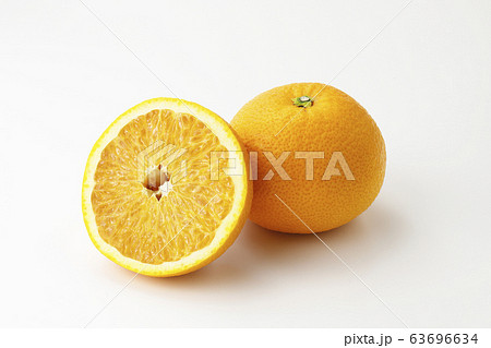 紅八朔　みかん 63696634