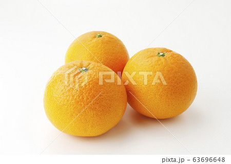 清見 みかん 清見 みかん 63696648