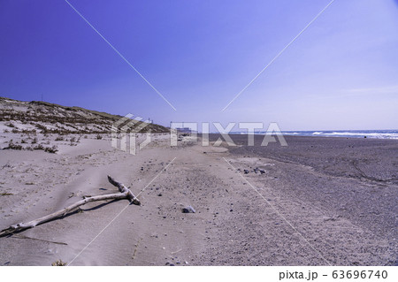 (静岡県)浜岡砂丘、後方に浜岡原子力発電所 (静岡県)浜岡砂丘、後方に浜岡原子力発電所 63696740