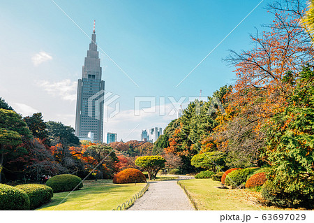 Shinjuku Gyoen park at autumn in Tokyo, Japan 63697029
