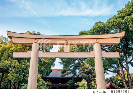 Meiji Jingu shrine Torii gate in Tokyo, Japan 63697595