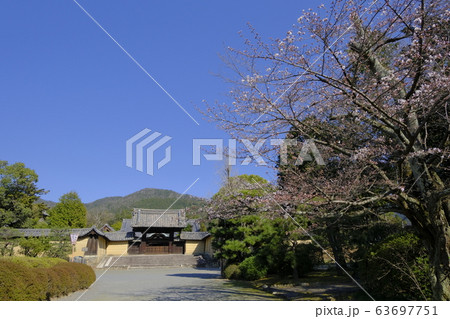 随心院 京都 山科 随心院 京都 山科 63697751