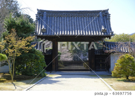 随心院 京都 山科 随心院 京都 山科 63697756