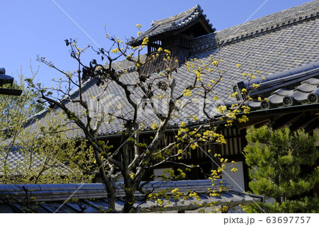 随心院 京都 山科 随心院 京都 山科 63697757