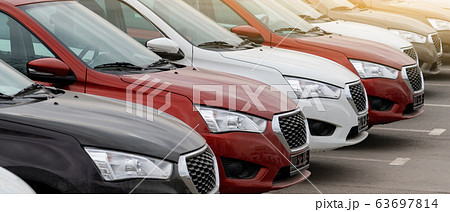 New cars in a row	 63697814
