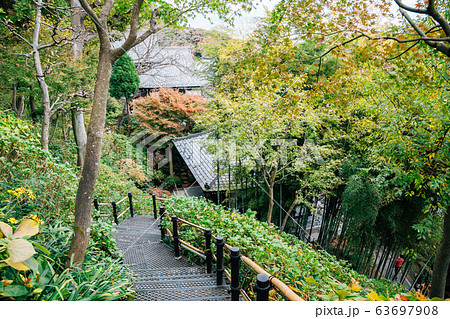 Hasedera temple nature garden view in Kamakura, Japan Hasedera temple nature garden view in Kamakura, Japan 63697908