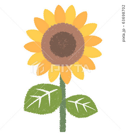 ヒマワリ一本 ヒマワリ一本 63698702