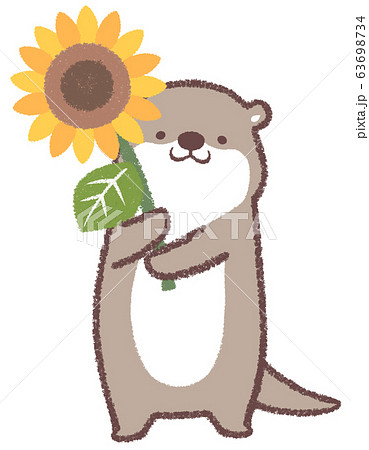 ヒマワリカワウソ 63698734