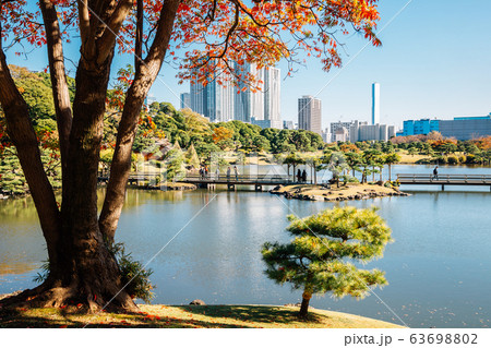 Hamarikyu Gardens pond and autumn maple in Tokyo, Japan Hamarikyu Gardens pond and autumn maple in Tokyo, Japan 63698802