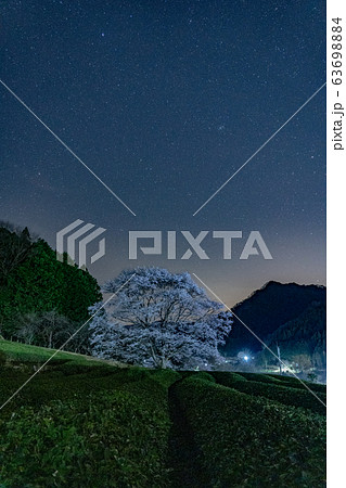 三重県津市美杉の淡墨桜と夜空の星 63698884