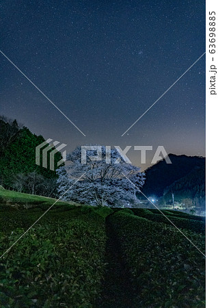 三重県津市美杉の淡墨桜と夜空の星 63698885