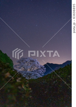 三重県津市美杉の淡墨桜と夜空の星 63698895