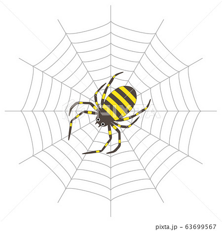 クモと蜘蛛の巣のイラスト素材