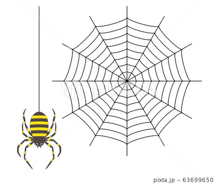クモと蜘蛛の巣のイラスト素材