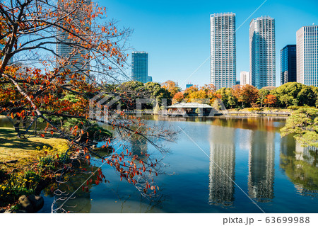 Hamarikyu Gardens, pond and modern buildings at autumn in Tokyo, Japan Hamarikyu Gardens, pond and modern buildings at autumn in Tokyo, Japan 63699988