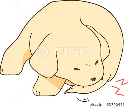 ゴールデンレトリバーの子犬 尻尾を噛む のイラスト素材