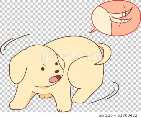 ゴールデンレトリバーの子犬 尻尾を追いかける のイラスト素材