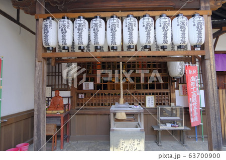 地蔵院 椿寺　五色八重散椿 63700900