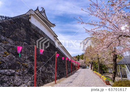宮城県　春の白石城　桜の坂道 63701617