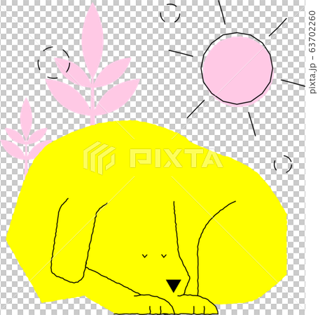 Sleeping dog 63702260