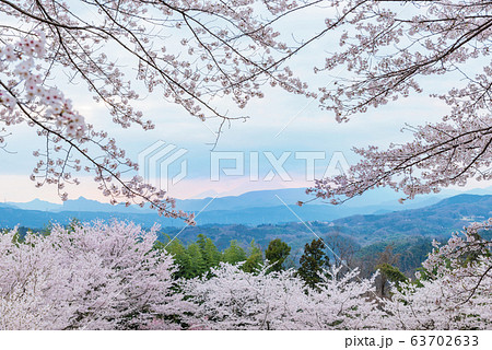 春の風景 満開の桜 群馬県安中市 後閑城址公園 春の風景 満開の桜 群馬県安中市 後閑城址公園 63702633