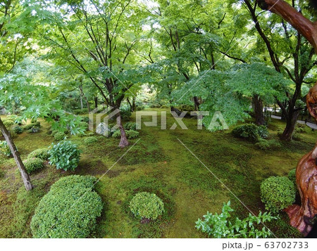 庭園 庭園 63702733