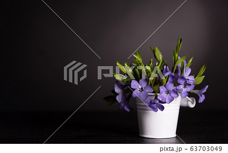 Bunch of beautiful spring flowers in a bucket Bunch of beautiful spring flowers in a bucket 63703049