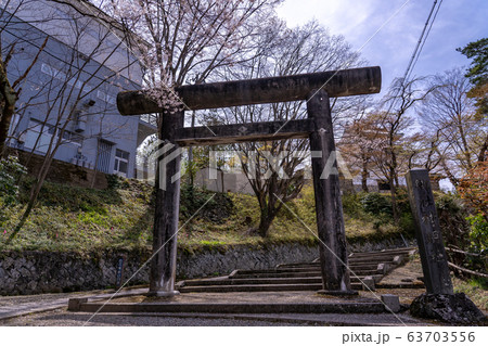 宮城県　春の白石城　厩口門跡　郷社神明社の鳥居　 63703556