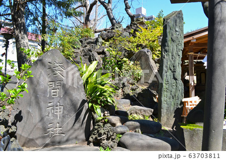 東京都荒川区の素盞雄（すさのお）神社　境内にある小塚原富士（富士塚）と浅間神社 63703811