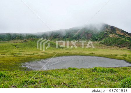 強風下の草原 63704913