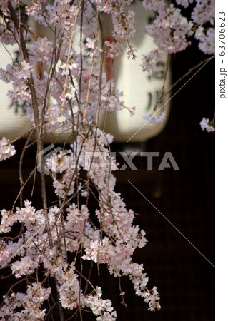 縣神社 縣神社 63706623