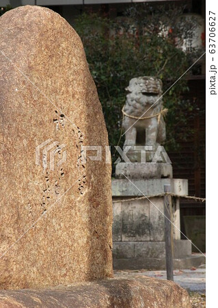 縣神社 縣神社 63706627