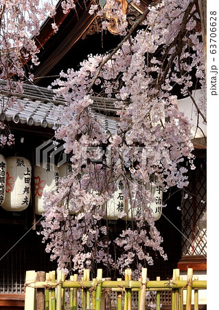 縣神社 63706628