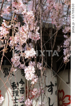 縣神社 縣神社 63706630