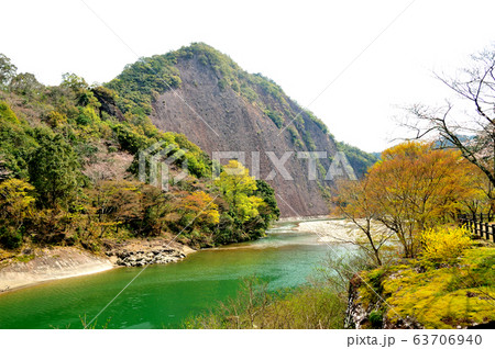 古座川の一枚岩に咲く桜 63706940