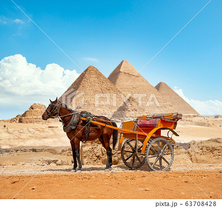 District of city of Giza 63708428