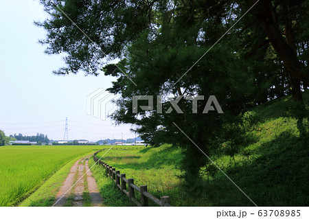 群馬県太田市下侍塚古墳 63708985