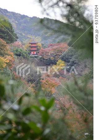 清水寺 子安の塔 清水寺 子安の塔 63709804