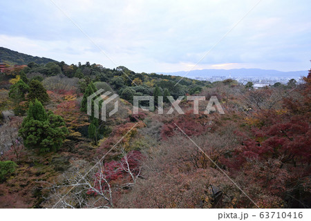 清水寺　錦雲渓 63710416