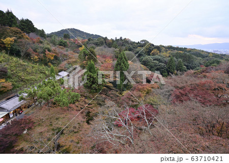 清水寺 錦雲渓 清水寺 錦雲渓 63710421