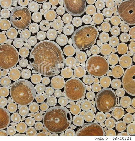 tree stumps background or texture tree stumps background or texture 63710522