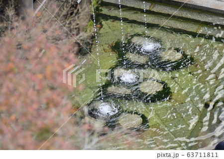 清水寺　音羽の瀧 63711811